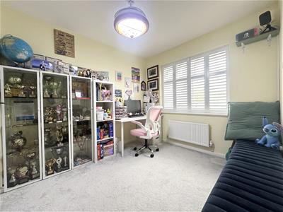Picture 11